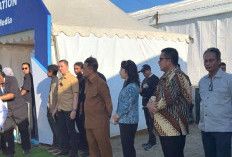 Mohammad Saleh: Proyek Sapi Perah Brebes Harus Libatkan Masyarakat Lokal