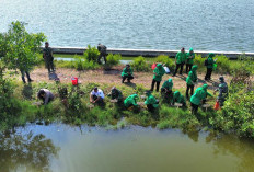 Kodim Pekalongan Tanam 250 Bibit Mangrove di Pesisir Pantai Utara, Sambut HUT ke-81 TNI dan Kodam Diponegoro
