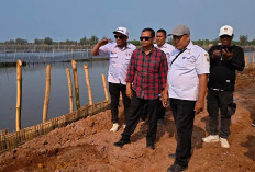 Tinjau Penanganan Banjir Rob di 3 Desa, Wakil Ketua DPRD Sumar Rosul Dorong Proyek Rampung Sebelum Musim Hujan