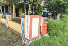 Asal-usul Nama Desa Watubelah, Jejak Tradisi Warga Membelah Batu Dari Sungai 