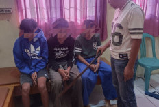 Niat Tawuran Batal karena Kalah Jumlah, Tiga Pelajar SMP di Batang Diamankan Bawa Celurit