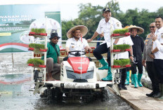 Produktivitas Pangan Jawa Tengah 2025 Capai Target Nasional, Bakal Lebih Digenjot pada 2026