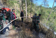 Minggu Pagi, Tim Gabungan Diterjunkan Atasi Kebakaran Hutan Petungkriyono