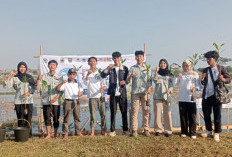 PSDKU Undip Batang Ikut Tanam Mangrove, Tanamkan Kepedulian Lingkungan pada Mahasiswa