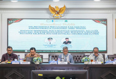 Sekda Jateng Usulkan RUU Kabupaten/Kota Disesuaikan dengan Karakteristik Daerah