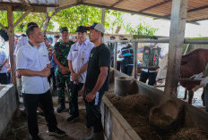 Jelang Iduladha, Ahmad Luthfi Minta Layanan Kesehatan Hewan Keliling Diintensifkan