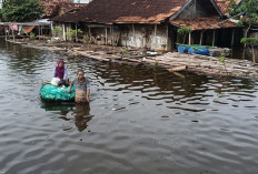Banjir Pekalongan Kian Parah! Hampir 2.000 Warga Mengungsi, PMI Akui Logistik Masih Minim
