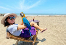 Batang Catat Lonjakan Kunjungan Wisata 139 Persen pada 2025, Wisata Religi Mendominasi