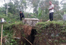 Jembatan di Desa Ngroto Reban Batang Putus Diterjang Hujan, Bupati Kaji Perbaikan Lewat Dana BTT