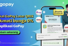 4 Penawaran Spesial Cicilan Tanpa Bunga QRIS GoPay Later untuk Belanja Impian