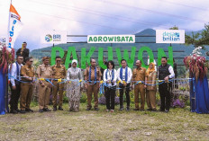 Lewat Program Desa BRILiaN, Desa Pajambon Jadi Contoh Transformasi Ekonomi Desa Berbasis Potensi Lokal