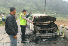 Mobil Grand Livina Terbakar di Gerlang Batang, Rombongan Wisatawan Asal Bogor Batal ke Dieng