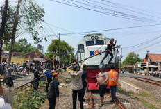 Tiang WiFi Ambruk ke Rel Kereta di Sragi, Perjalanan KA Tertahan 30 Menit dan Lalu Lintas Sempat Lumpuh