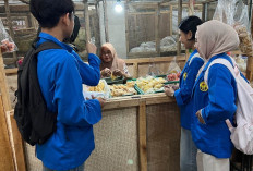Murah Bukan Berarti Tidak Ampuh: Persepsi Masyarakat terhadap Efektivitas Obat Generik