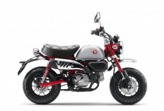 Dapat Sentuhan Baru, Honda Monkey Makin Ikonik dan Tampil Beda