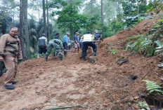 Jalan Pamutuh–Depok Tertutup Longsor, Warga dan Aparat Bahu Membahu Singkirkan Pohon Aren Raksasa