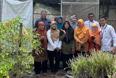 Urban Farming Pekalongan Bertransformasi, Kelompok Tani Sulap Panen Jadi Produk Bernilai Ekonomi