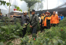 Pendaki Hilang di Bukit Mongkrang Belum Ditemukan, Sekda Jateng Cek Langsung Upaya Pencarian