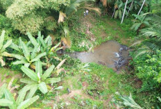 Kodim 0710 Pekalongan Bangun Jembatan Gantung Garuda di Desa Sawangan Doro