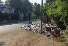 Sampah di Jalan Ahmad Dahlan Batang Resahkan Warga, DLH Siapkan Sistem Penjemputan Terjadwal