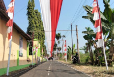 Unik! Sambut HUT ke-81 RI, Pemuda Rejosari Bentangkan Kain Merah Putih 200 Meter di Atas Jalan Desa