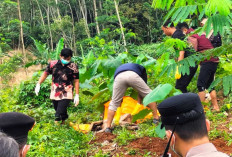 Mayat Perempuan Ditemukan di Hutan Jati Subah Batang