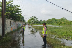 Banjir Pekalongan Mulai Surut, Pengungsi di Siwalan Berangsur Pulang ke Rumah