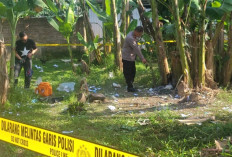 Terjadi Lagi! Ledakan Petasan di Kota Pekalongan Telan Korban, Tiga Remaja Terluka, Dua Kritis