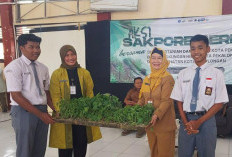 Perkuat Ketahanan Pangan 2026, Dinperpa Kota Pekalongan Masifkan Gerakan Pemanfaatan Lahan Pekarangan Rumah