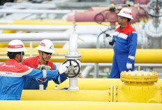 Optimalisasi Struktur Idle dan Undeveloped Discovery, PHE Perkuat Ketahanan Energi Lewat KSOT