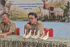 DKPP Pekalongan Latih Panitia Kurban Terapkan Standar ASUH, Ini Temuan Kesalahan Saat Proses Kurban