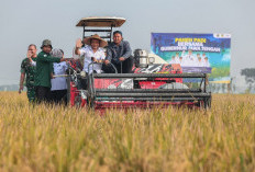 Produksi Padi Jateng Tembus 6,69 Juta Ton, Ahmad Luthfi Siapkan Strategi Hadapi Kemarau