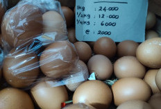 MBG Libur, Harga Telur dan Sayuran di Pekalongan Anjlok