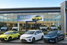 BYD Tembus Penjualan 5.264 Unit di Indonesia, Haka Auto Pacu Ekspansi