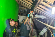 Lansia 82 Tahun Ditemukan Meninggal di Rumah Kesesi, Sempat Keluhkan Penyakit Tak Kunjung Sembuh