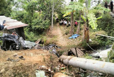 Diduga Rem Blong di Turunan, Fortuner Terbalik Usai Tabrak Tiang Listrik di Bawang Batang, 1 Orang Meninggal