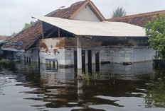 Banjir di Kabupaten Pekalongan Kian Meningkat, 1.587 Warga Mengungsi hingga Kamis Sore
