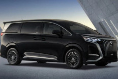 BYD New Danza D9 dan Z9 GT Resmi Meluncur, BYD Haka Semarang Mulai Buka Pemesanan