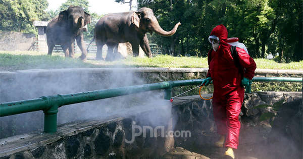 Disinfektan di Ruang Terbuka Tidak Efektif, Buang Anggaran Saja