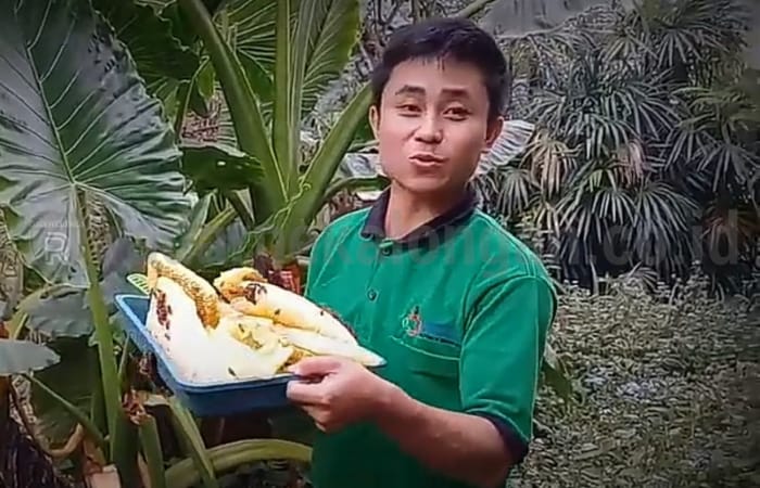 Pandemi, Madu Murni Banyak Diminati Karena Mampu Tingkatkan Daya Tahan Tubuh