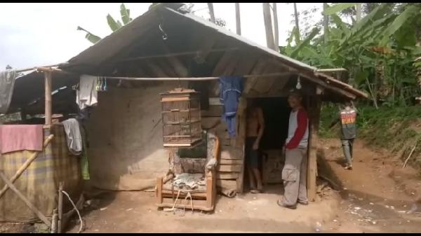 Satu Keluarga Buruh Serabutan Tinggal di Kandang Sapi