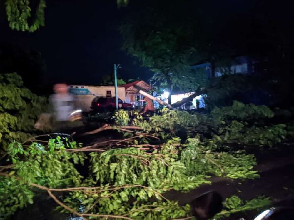 Diterjang Puting Beliung, Sejumlah Rumah Warga Alami Kerusakan dan Pohon Tumbang