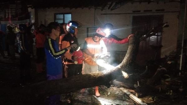 Cuaca Ekstrem, Pohon Tumbang Timpa Warga