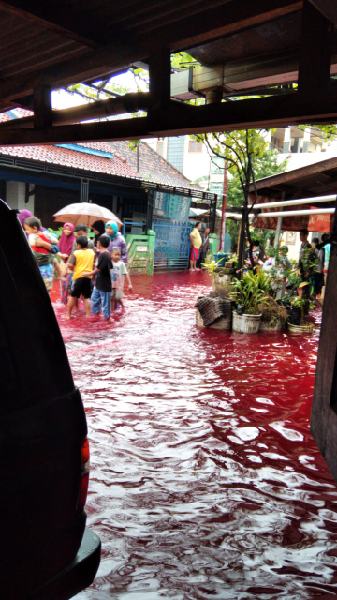 Viral Air Banjir di Kelurahan Jenggot Berwarna Merah