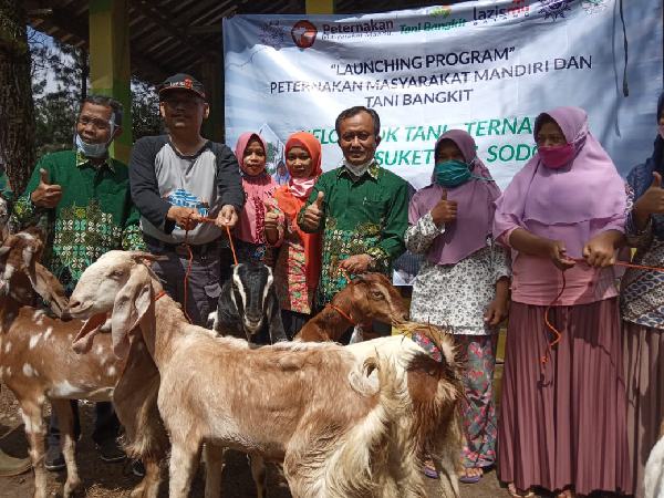 Gigihnya Petani-Peternak Perempuan di Sodong, Lazismu pun Kepincut