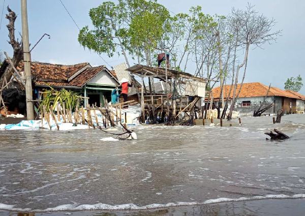 Puluhan Kepala Keluarga Tetap Bertahan Ditengah Rob