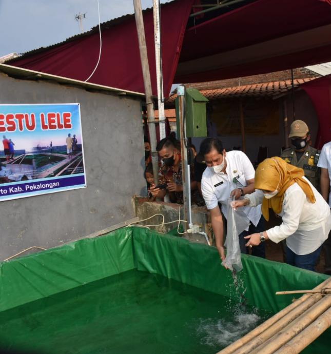 Bupati Fadia Ingatkan Petani Lele untuk Tidak Menghabiskan Uang Hasil Panen Ikan