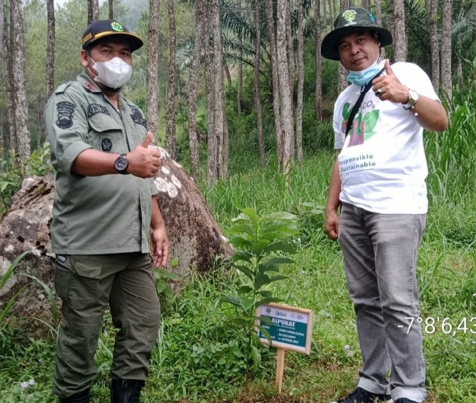 Perhutani Bersama TBIG kurangi Jejak Karbon