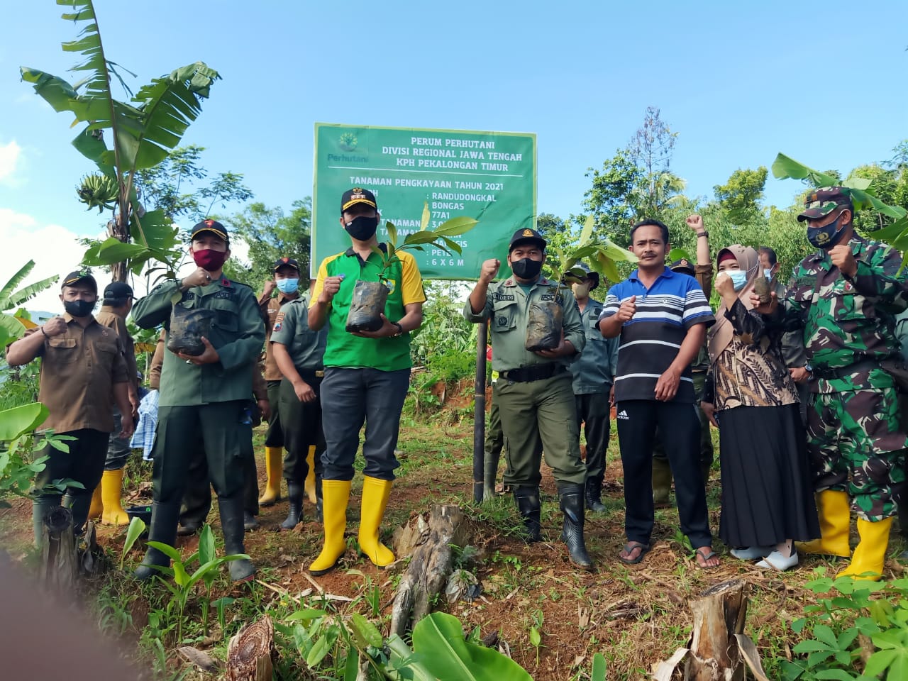 Lahan Hutan Lindung Bekas Sengketa Ditanami MPTs