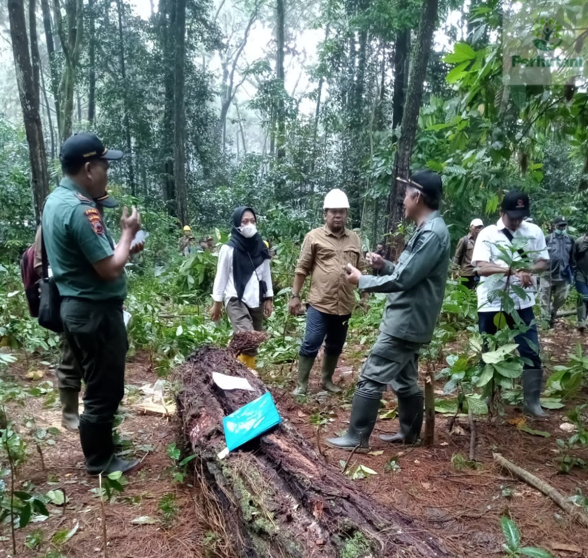 Siapkan Tenaga Handal, Perhutani Gelar Latihan Penebangan